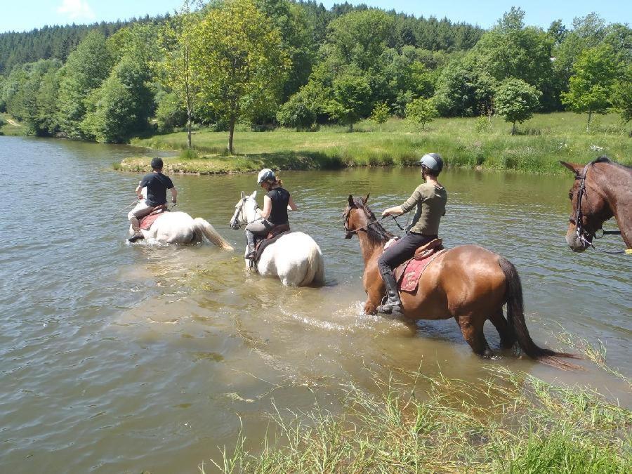 Planchez Le Relais Des Lacs Bourgogne Morvan מראה חיצוני תמונה